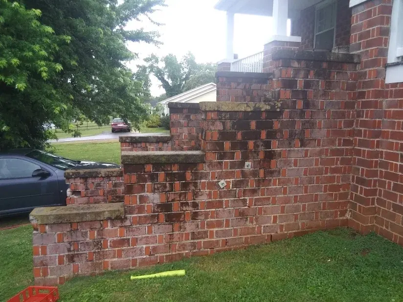 Brick side steps before pressure washing, covered in algae