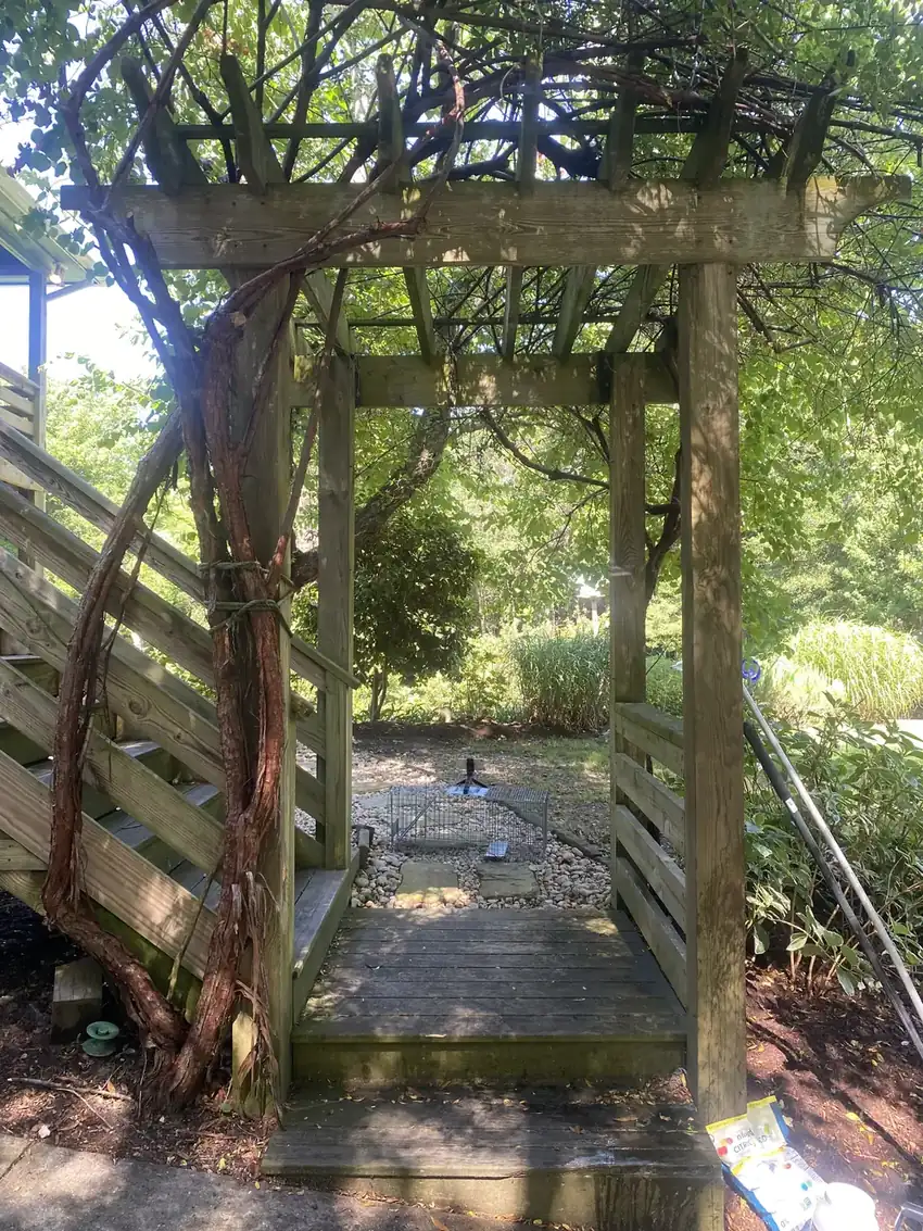 Arbor Deck & Landing, Outer Banks, before cleaning
